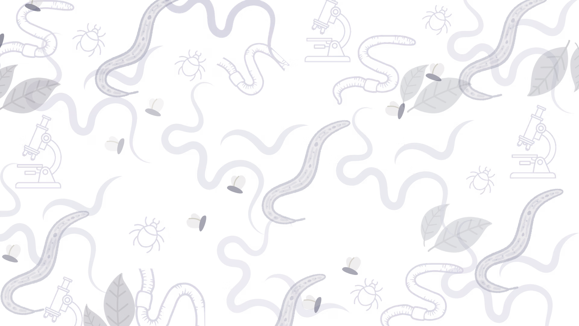 Nematodes, Plant Insects and Plant diseases