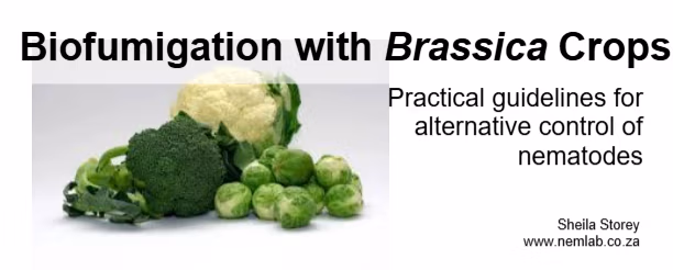 Publication on Biofumigation