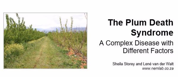 Publication on the Plum Death Syndrome